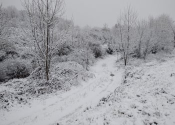 FOTOS. La nevada del 3 de març