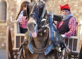 FOTOS. El passant dels Tres Tombs torna al centre del poble