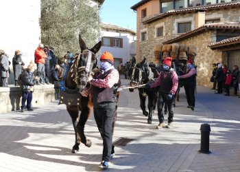 La Festa dels Tonis torna plenament a la normalitat, però amb menys animals