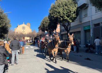 El patrimoni rural, eix central dels Tonis d'aquest cap de setmana