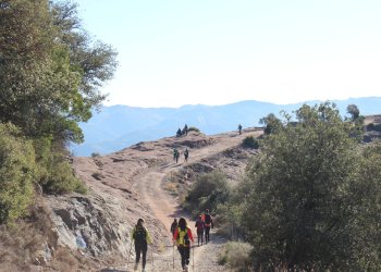 Un miler de participants afronten aquest diumenge els 43,5 km de la Rupit-Taradell Un miler de participants afronten aquest diumenge els 43,5 km de la Rupit-Taradell