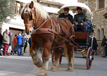 AGENDA: dies de Tonis, futbol, excursions, acapte de sang i més