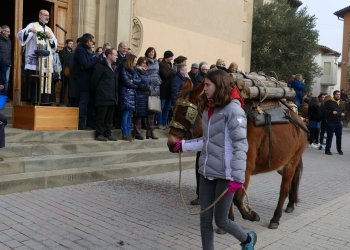 Els Tonis faran dissabte la benedicció dels animals Els Tonis faran dissabte la benedicció dels animals