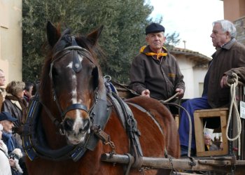 FOTOS Tonis Taradell 2024: un passant menys animal FOTOS Tonis Taradell 2024: un passant menys animal