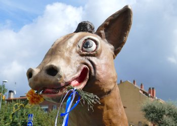 FOTOS. Taradell presenta una mulassa en la Trobada de Gegants FOTOS. Taradell presenta una mulassa en la Trobada de Gegants