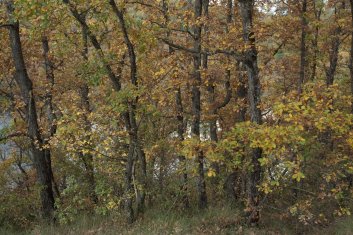 Ruta de l\'aigua fauna i flora Ruta de l\'aigua fauna i flora