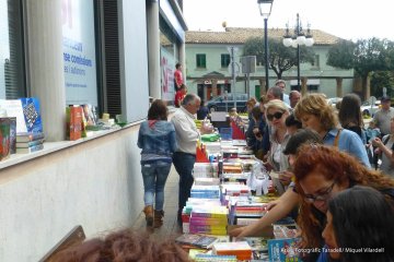 Diada de Sant Jordi