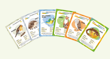 cartes 25Reptes 480x259 cartes 25Reptes 480x259