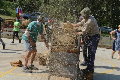 Festa del Batre