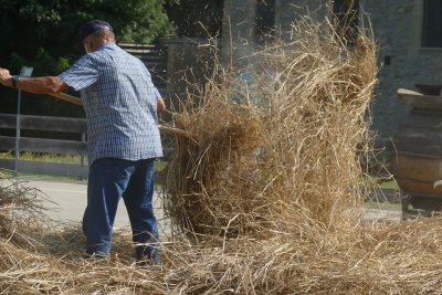 Festa del Batre