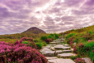 L’Storytelling del mes de març estarà dedicat a Irlanda
