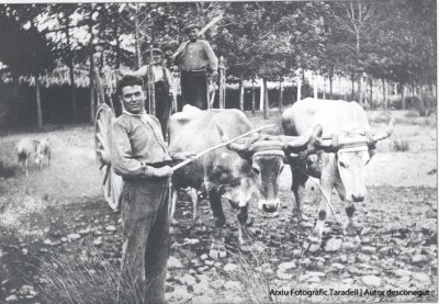 Exposició: 'Les nostres arrels'