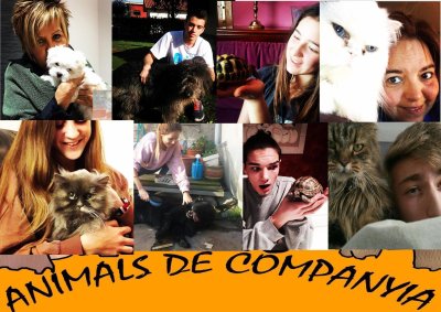 Collage \'Animals de companyia\'