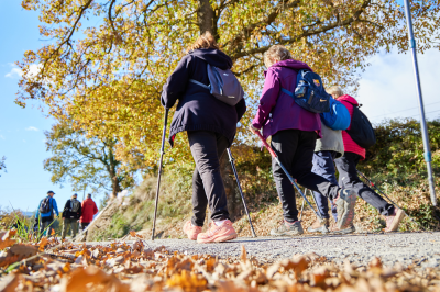 Taradell - Camina a la tardor +60: sis rutes per gaudir de la natura, fer salut i compartir bons moments