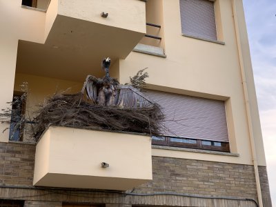 Concurs de balcons i finestres Carnaval 2132