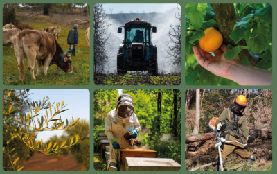 Taradell - Eleccions agràries a Catalunya el proper dia 27 de febrer de 2026 a l'Ajuntament