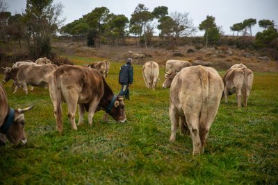 Taradell - Eleccions agràries a Catalunya, el divendres 27 de febrer