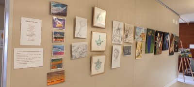 Expo Adults Escola L\'arpa (12)