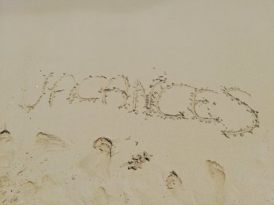 Tanquem per vacances del 12 al 26 d'agost