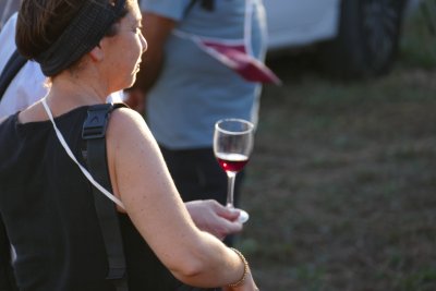 Un passeig entre vinyes - Cultura en Marxa