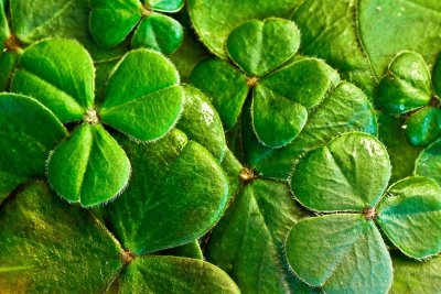 Storytelling: 'Tales of Saint Patrick and Ireland'