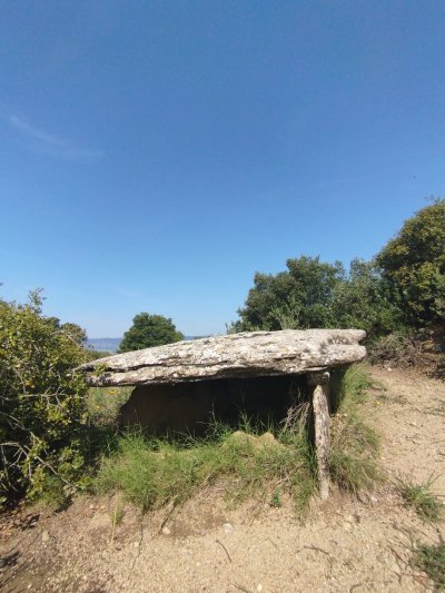 Taradell - Intervenció arqueològica al dolmen dels Sequers de Gasala per conservar-lo
