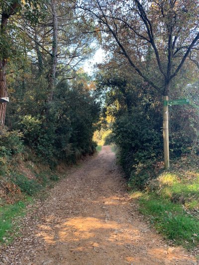 Camí de Can Talaia fins al pont del Molí del Sors