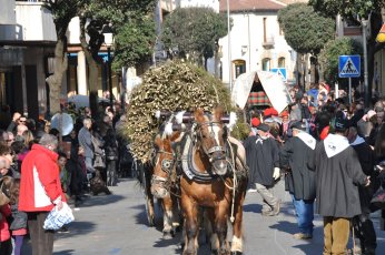 Tonis de Taradell