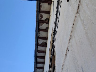 La protecció de les orenetes endarrereix l’enderroc de Can Serdà La protecció de les orenetes endarrereix l’enderroc de Can Serdà