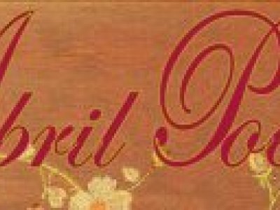 Lectura musicada dels poemes de l'Abril Poètic 2015