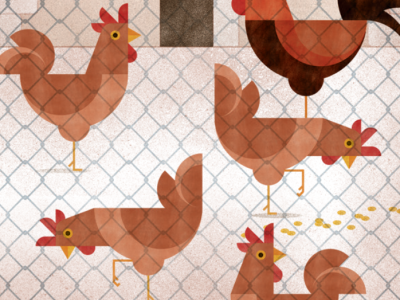 BAN per a la presa de mesures de bioseguretat per l'increment del risc d’influença aviària