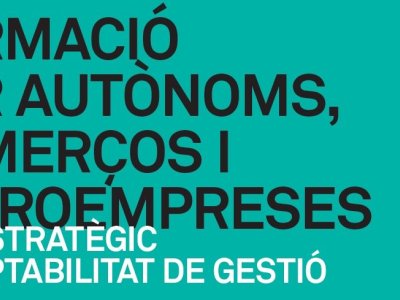 Formació per autònoms, comerços i microempreses  ''Pla estratègic i comptabilitat de gestió''