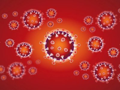 L’Ajuntament informa de nous casos de coronavirus a Taradell L’Ajuntament informa de nous casos de coronavirus a Taradell
