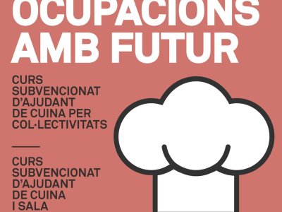 Formació professionalitzadora per la millora de l'ocupabilitat