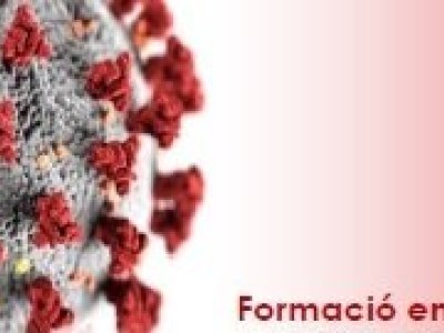 Curs en línia gratuït per prevenir la transmissió del coronavirus en establiments alimentaris