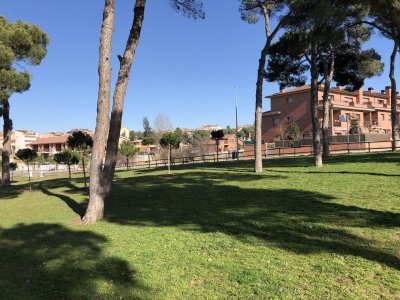 S’inicia l’estudi per a la redacció del Pla director del verd urbà