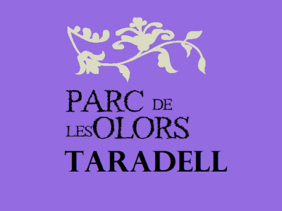 El Parc de les Olors de Taradell ofereix una taller de sabó de lavanda