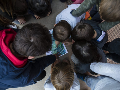 L'Ajuntament oferirà un servei d'Escola Esportiva