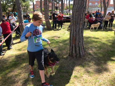 Deu anys de Festa del Civisme
