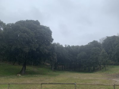Neteja forestal a La Roca, amb interrupció del subministrament elèctric Neteja forestal a La Roca, amb interrupció del subministrament elèctric