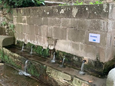 Acció municipal per recuperar les fonts de la Font Gran Acció municipal per recuperar les fonts de la Font Gran