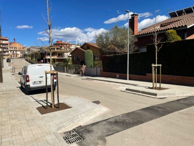 L'Ajuntament planta més de 80 arbres nous als carrers de Taradell