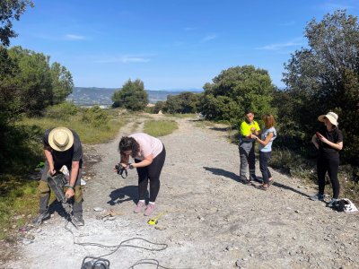 Trobats a La Roca dos fòssils d'un sireni de fa 40 milions d'anys