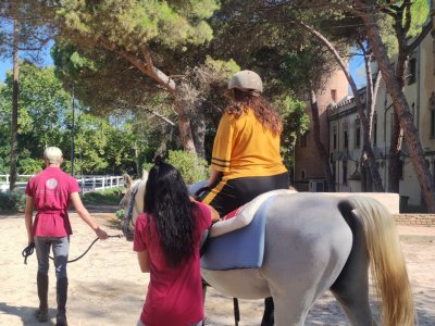 Jornada d'esport adaptat a persones amb diversitat funcional Jornada d'esport adaptat a persones amb diversitat funcional