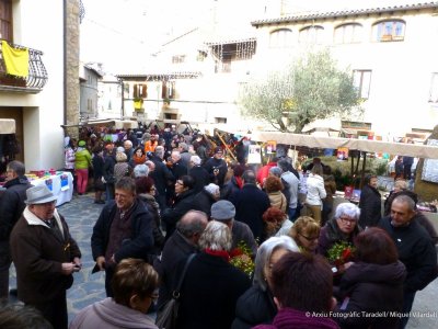 41a Edició de la Fira de Santa LLúcia