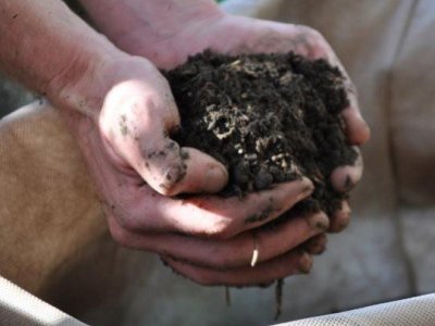 L'Ajuntament ofereix compost provinent de la fracció orgànica dels residus de Taradell L'Ajuntament ofereix compost provinent de la fracció orgànica dels residus de Taradell