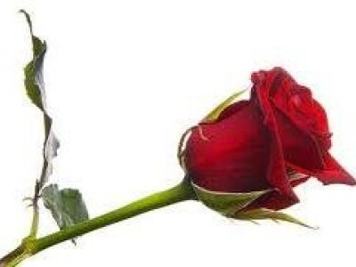 Per Sant Jordi, queda't al poble