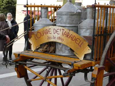 Arriba la Festa dels Tonis de Taradell