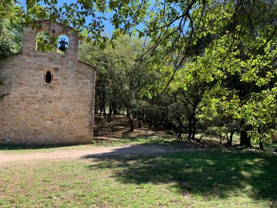 S’executen les tasques de millora de la franja forestal de la zona de Goitallops i de la Roca