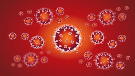 Coronavirus